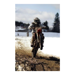 Шип 1600